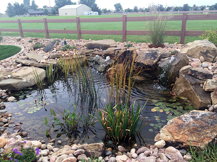Windsor pond installation