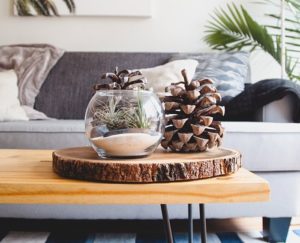 5 Ways to Use Nature to Decorate Your Home